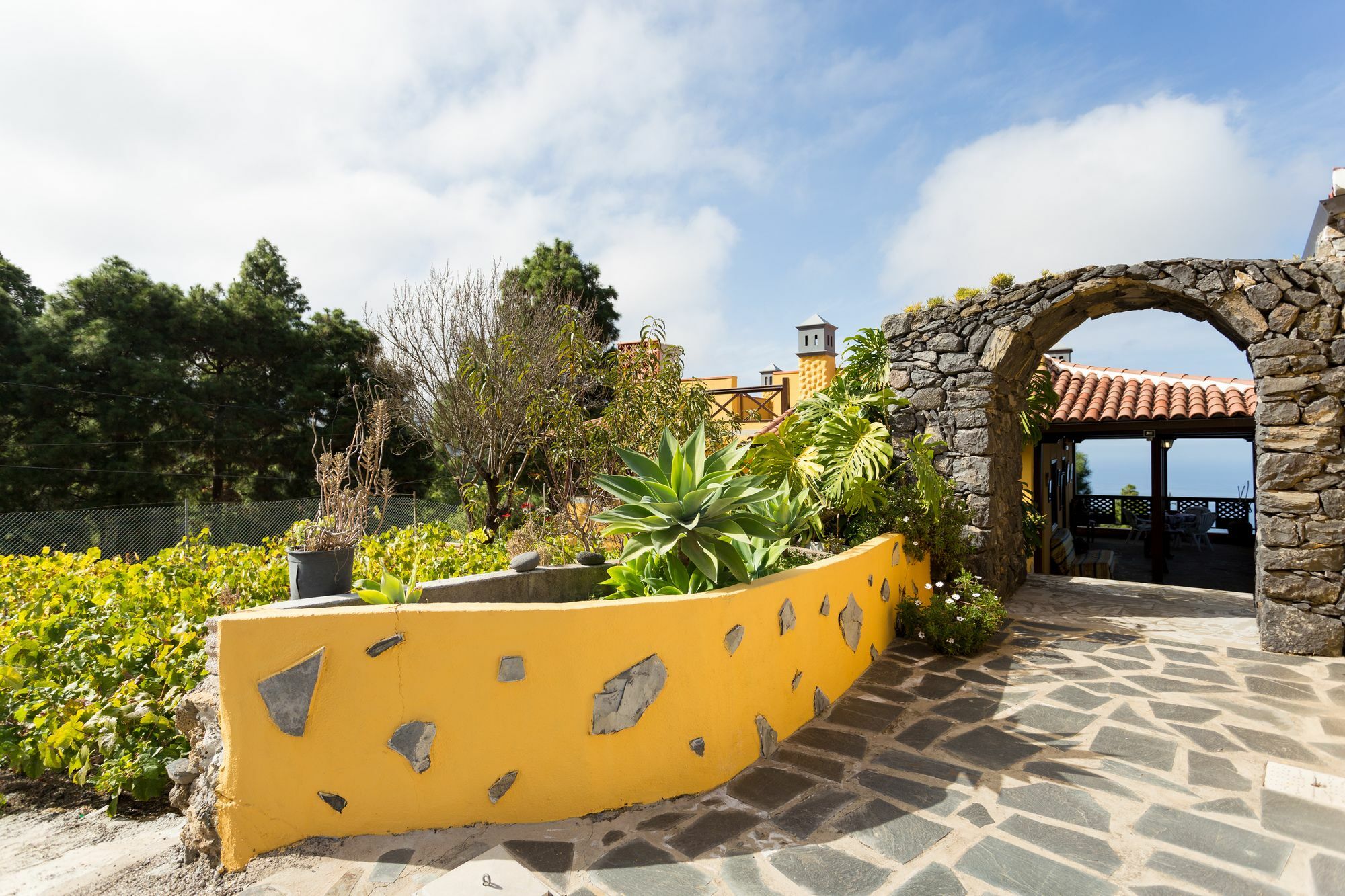 Finca Casa Yaya Icod De Los Vinos Zewnętrze zdjęcie