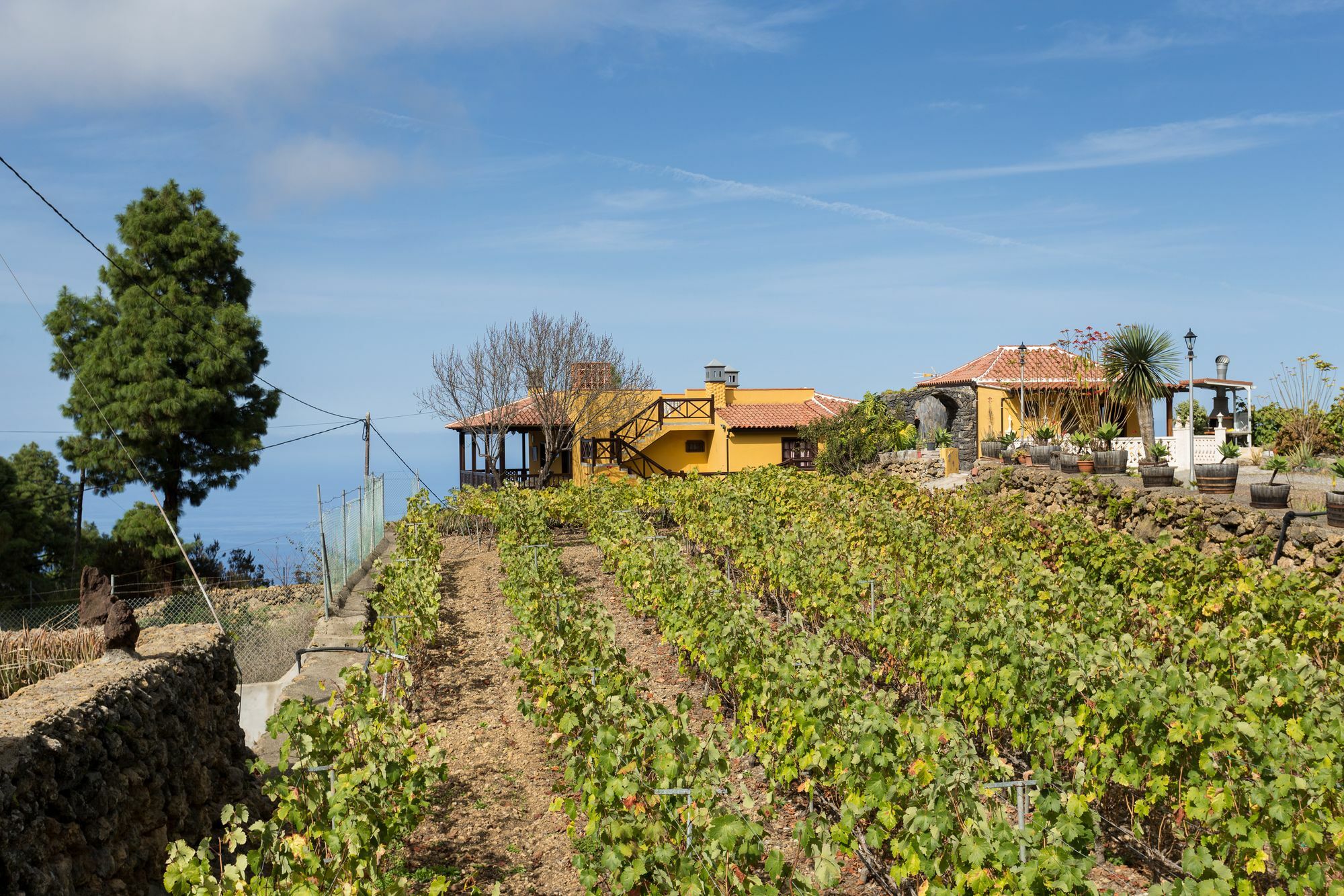 Finca Casa Yaya Icod De Los Vinos Zewnętrze zdjęcie